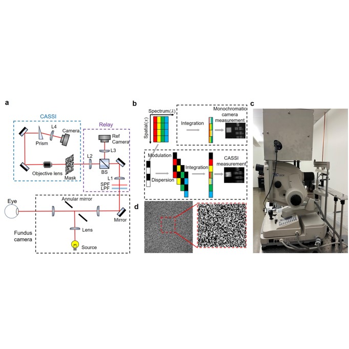 Coded aperture snapshot spectral imaging fundus camera