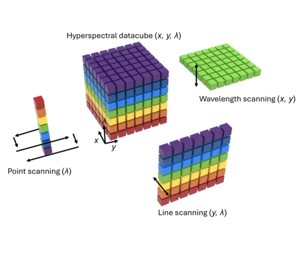 Hyperspectral retinal imaging in Alzheimer’s disease and age-related macular degeneration: a review