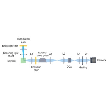 Cascaded spectral light field tomography